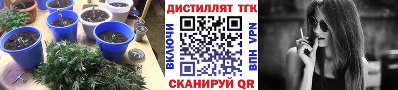 ТГК вейп Ясный